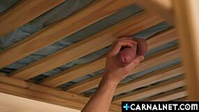 Отчимы Коул Блю и Колтон Фокс наслаждаются утренним бэребеком без презерватива