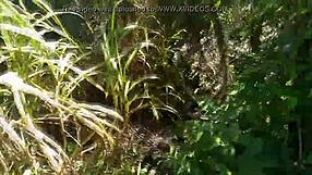 ela me fez de corno e deu pros caras na praia joy cardozo bruna black