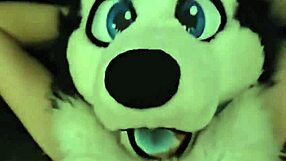 Voxhusky bf fucks him rough and covers his tummy in cum.