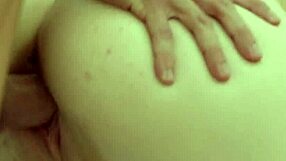 Piękna Polly spotyka się z lodzikiem i pieskiem