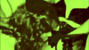 vintage steam age antique group gathering