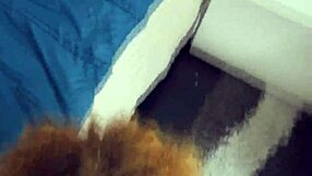 Ebony girlfriend delivers intense anniversary blowjob in lingerie