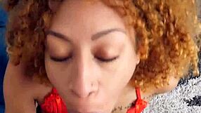 Ebony girlfriend delivers intense anniversary blowjob in lingerie