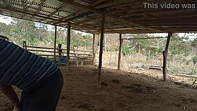 Widowed stepmother visits stepson’s farm to see her late husband’s legacy. She seduces him for a wild fuck!