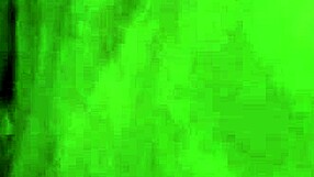 Evers and Anna indulge in close-up homemade masturbation with fat bbw interracial amateurs