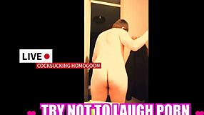 Try not to laugh porn silly cocksucking homogoon