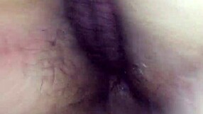 European Brazilian in Florida