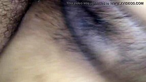 European Brazilian in Florida