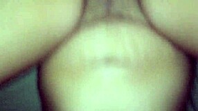 European Brazilian in Florida