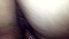 European Brazilian in Florida