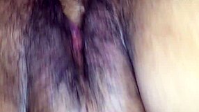 European Brazilian in Florida