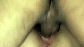 mientras me parten la vagina le envio un saludo a mis seguidores