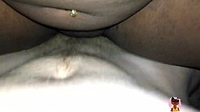 Big White Cock Creampies Black Pussy
