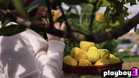 Seksi büyük kalçalı esmer genç 18+ hayli sanders çıplak poz veriyor, güzel büyük popo