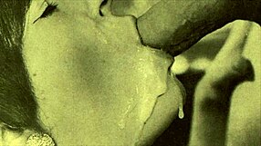 Dark Lantern Entertainment Presents Vintage Erotic Closeups of Hairy Pussy