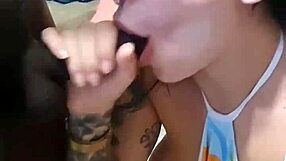 Vivo-kaverit nussivat Melissa Lisboaa kovaa persesuihkulla ja bareback-muksuja