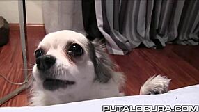 Rellenando el coño de la gordita violeta