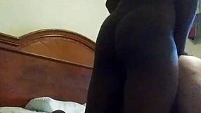 Big tits and black cock, gay sex scene with a transsexual