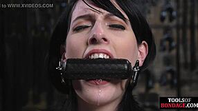 Brunette BDSM babe gets flogged and fucked by her dom