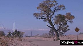 Classy Britt Linn, strip off that lingerie and swim naked outdoors! Show those natural tits!