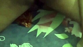 my valentine's romantic sex with wife