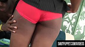 Marie Leone's Huge Tits Titty Fuck Pussy Railed!