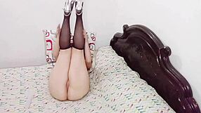 Lole fox, how does that toy feel on your big ass?