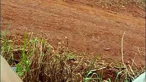 Brazilian brunette pornstar engages in hardcore group assfucking and gangbang sex with cum