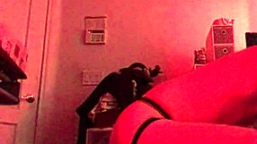 Hey, those chastity guys are really going at that fuck machine, pounding away with dildos and toys!