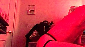 Hey, those chastity guys are really going at that fuck machine, pounding away with dildos and toys!