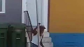 Dancing leads to group striptease in night club