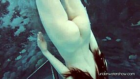 underwater babe roxalana cheh strips in bikini