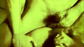 Dark Lantern Entertainment Presents Vintage Taboo Freak Show With Bisexual Acts