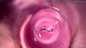 Camera dives deep into Mia's tight creamy brunette pussy