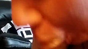 Obožujem sesat to veliko debelo kuro kot prava pohotna bbw kurva