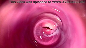 Camera dives deep into Mia's tight creamy brunette pussy