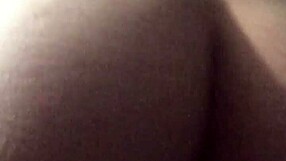 Natural ladyboy asses and tits on display in videos