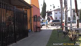 Lizzie Tucker Takes Big Black Cock In Cuckold Session