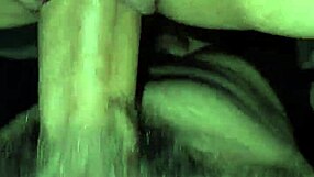 Amateur Latina Couple's Wild Compilation