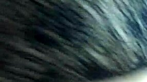 Prima gets fucked hard with cachetero orgasm