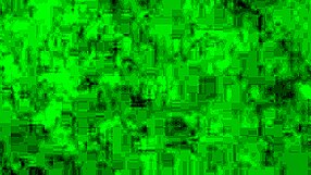 Night of r scenes at the ranch