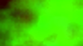 Perla Rides Cock Intensely And Moves Seductively