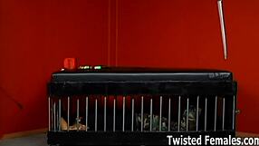 You Are Nothing But Trash To Me