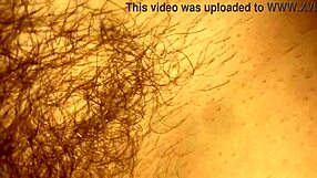 i watch a couple with big cock fucking hairy pussy in 4k close up.