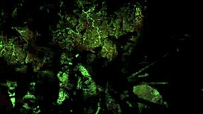 Vintage erotic sketches from classic collections