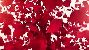 yo, check out this blowjob with czech pornstar antonia sainz on xczech com!