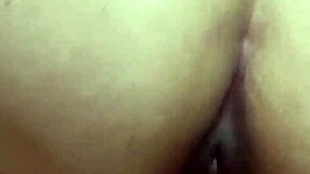 pussy cream pie drips after amateur banging