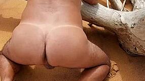 Latina shemale Ladysilva enjoys anal sex on the beach