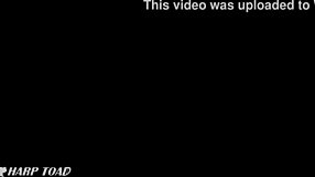 harptoad starfire learns earth customs with deepthroat and facial action in wild 3d hentai