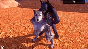 Alpha Wolf Devours Sexy She-Wolf in Wild Life Scene